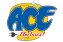 ACE Electrical